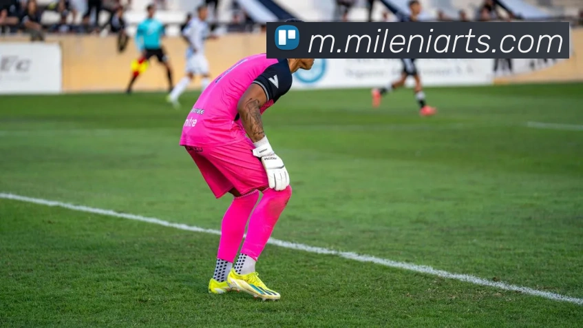 米乐m6服务体系